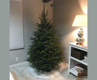 Christmas Tree with no decorations